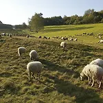 Otel Alpine By Snowworld