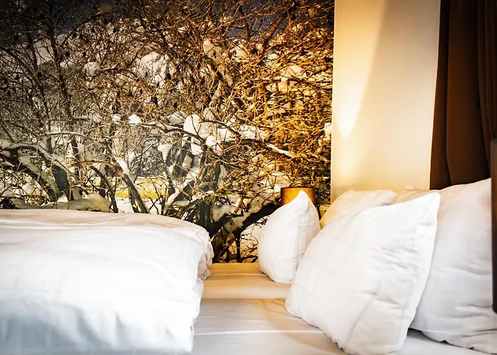 Hotel Alpine By Snowworld 3*