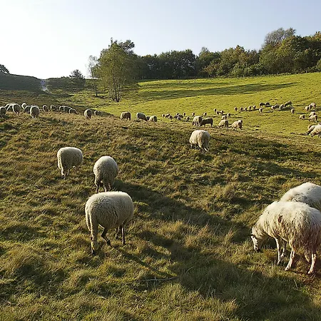 Hotel Alpine By Snowworld