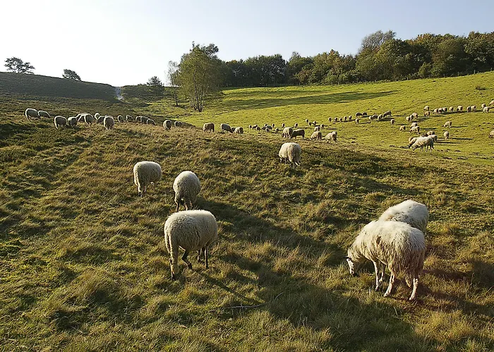 Hotel Alpine By Snowworld